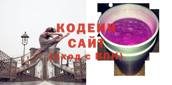 шишки Белоозёрский