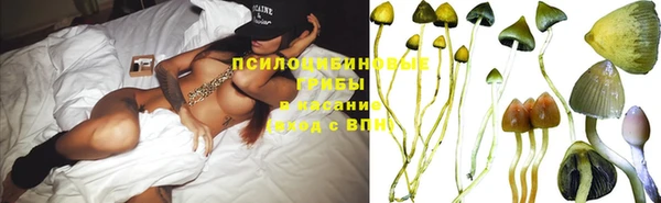таблы Белокуриха