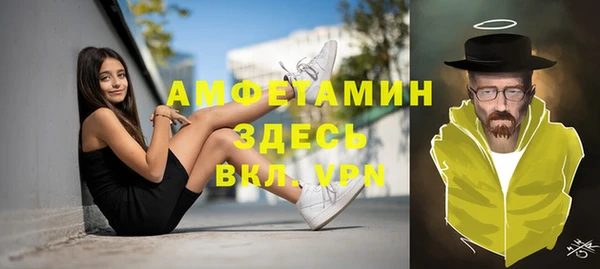 шишки Белоозёрский