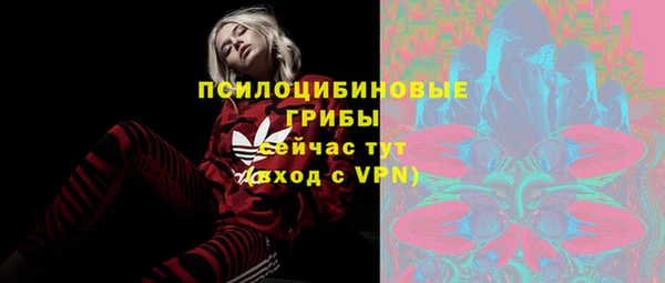 mdma Богородск