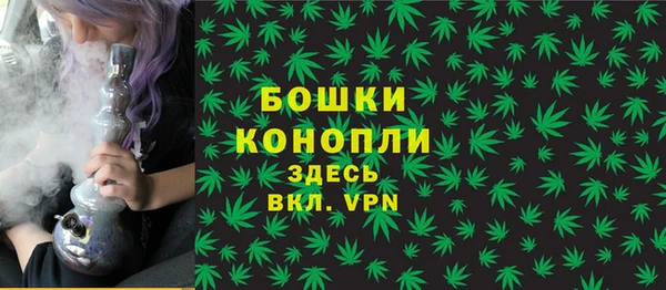 шишки Белоозёрский