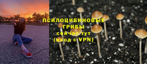 таблы Белокуриха