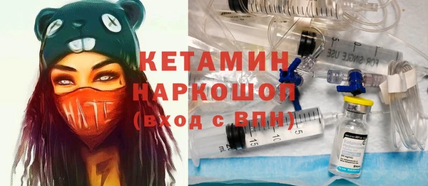гидра Богданович