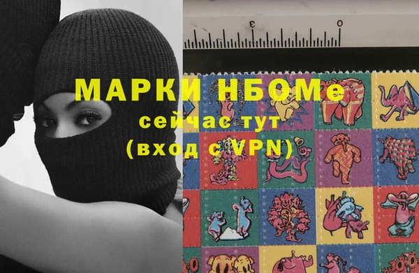 шишки Белоозёрский