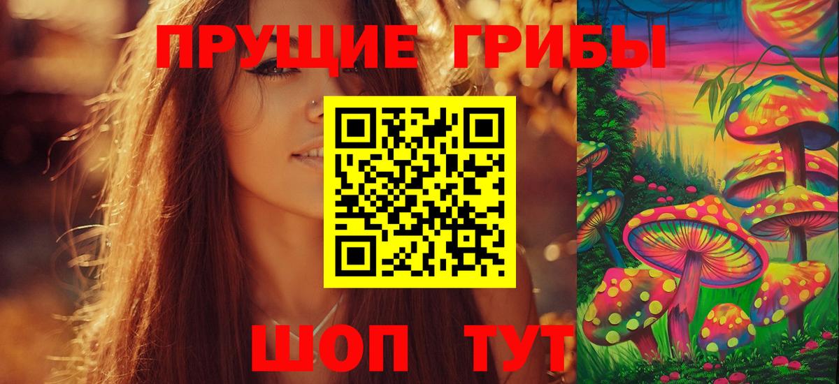 Псилоцибиновые грибы Cubensis Пыть-Ях